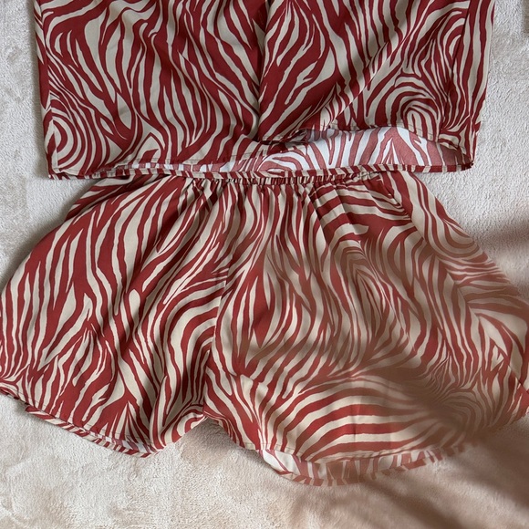 Zebra Print Two-Piece Set - Picture 6 of 12